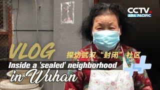 Inside a 'sealed' neighborhood in Wuhan 探访武汉“封闭”社区