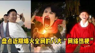 【抖音合集】盘点近期爆火的八大网络热埂，妥妥的“万恶之源”！