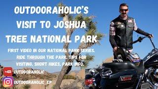 Joshua Tree National Park - Outdooraholic