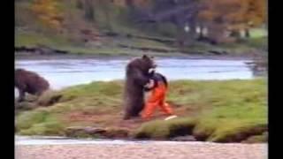 Werbung - Bär vs Wanderer