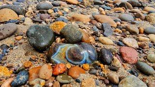 Stunning Stones Secretly Shining All Around My Toes #rockhounding #hiddengems