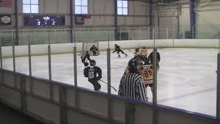 U12 Select Waterloo Wolves 5 West London Hawks 3 (netcam action added)
