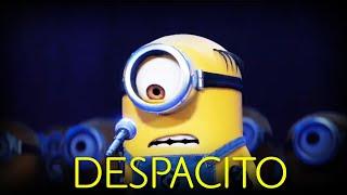 Despacito - Minions Cover | NEW |