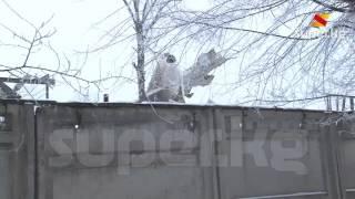 Авиа кырсыктан аман калган аял кош жашы