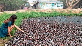 Momentos en la Naturaleza Que Ocurren una Vez Entre Mil Millones