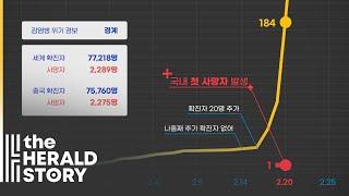 3분 타임랩스로 보는 한국 코로나19 바이러스 l 숫자로 세상을 PLAY