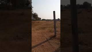 Agricultural land for sale in Cherial, Siddipet Call 9390661620