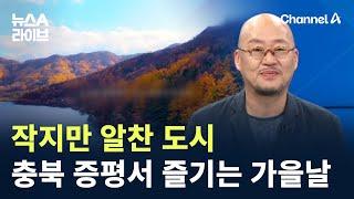 작지만 알찬 도시…충북 증평서 즐기는 가을날 / 채널A / 뉴스A 라이브