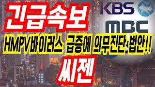 [씨젠 주가전망] 대박입니다