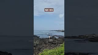 #제주바다 #오션뷰 #런던베이글뮤지엄 #jeju #ocean #쇼츠 #shorts