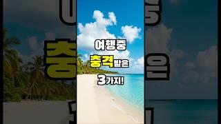  롬복) 충격적인 너무 다른 문화충격! #travel #세계여행 #롬복