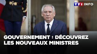 Gouvernement Bayrou : découvrez les nouveaux ministres｜TF1 INFO