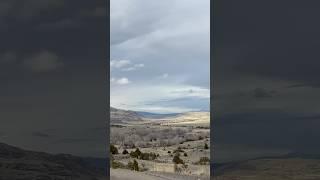 Montana Forever Views