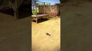 Pind ki baty