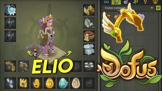 L'ELIOTROPE 17 PA SUR DOFUS !