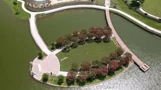 Mustang Lakes (Celina, Texas)