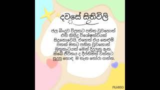 දවසේ සිතිවිලි#davasesithuwili#chamithsir#sinhala#