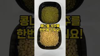 콩나물,숙주를 한번에! #shorts #sprout #mungbeans #쉬운 #키우기#코아두