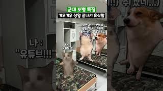 군대 포병 특징 #shorts #군대