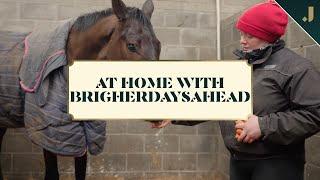 "I'll sleep in the stable with her!" - Brighterdaysahead's groom speaks ahead of Cheltenham Festival