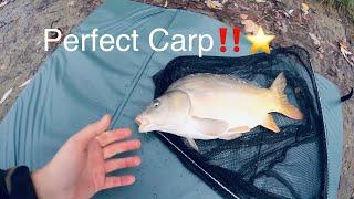 Pécsi Tó - Catching A Mirror Carp In PRISTINE Condition!