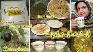 میں اور میری چائے/Daraz Parcel /My Kitchen Garden/ My Daily & Busy routine vlog #vlog