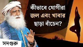 খাবার ও জল ছাড়া যোগীরা কীভাবে বেঁচে থাকেন? | How Yogis Lower Their Metabolism to Transcend Hunge