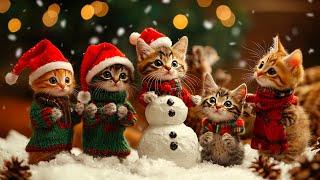 Cute Kittens Celebrate Christmas | Cult of Kittens