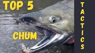 "Top 5" | Chum Salmon Techniques