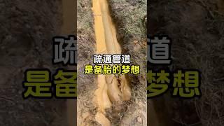 疏通管道，估计是备胎一辈子的梦想 #管道疏通 #解压 #趣事 #有趣 #舒适