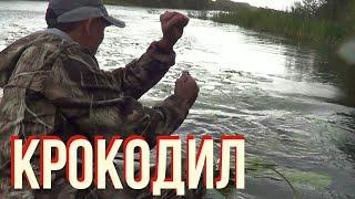 Самая большая щука в мире.МОНСТР. КРОКОДИЛ ОГРОМНАЯ ЩУКА .