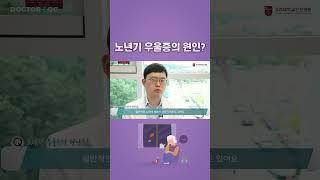 노년기 우울증의 원인?