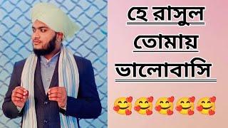 হে রাসুল তোমায় ভালোবাসি | super hit gojol 2024 |mahbub Alam Razvi gojol