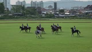 1MYPT Match 6 Indochinese Greys vs Blue Siberians