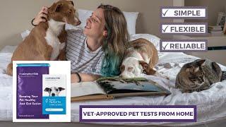 Vet-Approved Pet Tests from Home | MySimplePetLab