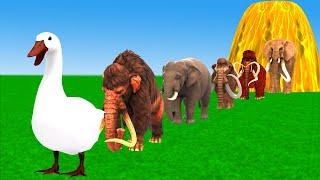 Paint & Animals Cow Gorilla Duck Lion Tiger Dinosaur Mammoth Animal Crossing Fountain Transformation