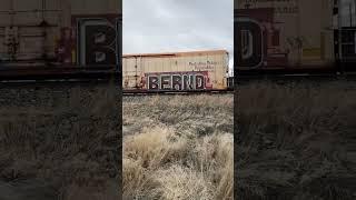 #bernd #atomik #atomikgraffiti  #berndgraffiti