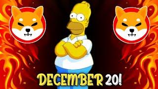 SIMPSONS PREDICT SHIBA INU COIN PRICE ON NOVEMBER 20, 2024!! - SHIB KAI