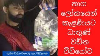 Kelaniya Temple ll Naga Lokaya llනාග ලෝකයෙන් කැළණියට ධාතුණ් වඩින full වීඩියෝව  2019