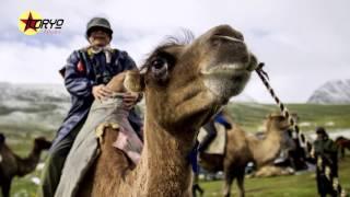 Beyond the Steppe, Travel to Mongolia with Koryo Tours