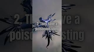 5 Interesting Facts about the Blue Dragon