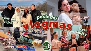 VLOGMAS #3 II vánoční Vídeň s kamarády, křest knížky, obří Lidl výprodej, vánoční cukroví