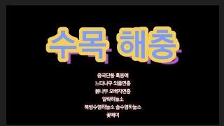 수업용 ㅣ 수목 해충 ㅣ 충해관리