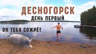 ДЕСНОГОРСК - ДЕНЬ 1 (ЗАЕЗД / КАБАН / РЫБАЛКА)