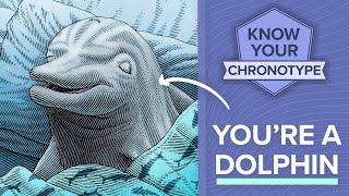 How dolphins are programmed to get poor sleep