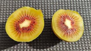 Blood Kiwi / Red Kiwi (Actinidia) tastes like honey