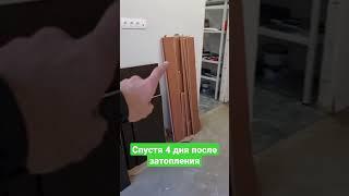 Спустя 4 дня после затопления квартиры