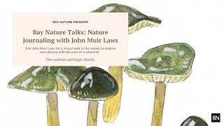 Bay Nature Talks: Nature Journaling with John Muir Laws