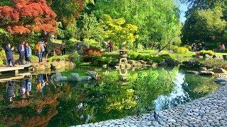 LONDON WALK | Holland Park incl. Beautiful Kyoto Garden | England