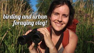 Trying the Wildlife #SpeciesRace Challenge! // Birding + Urban Foraging Tips